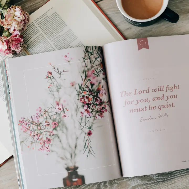 "Faithful" Bible study on Covenants