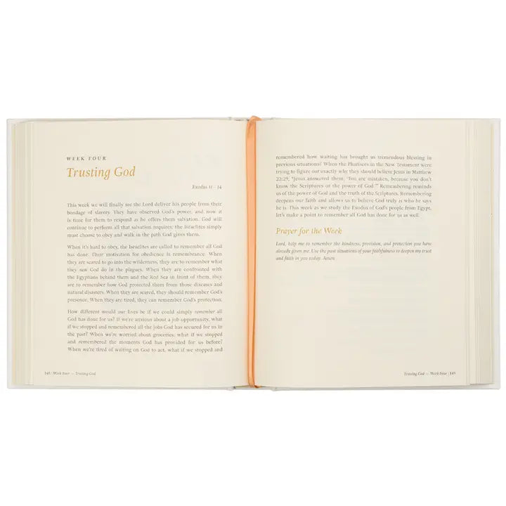 Beyond Egypt Bible Study