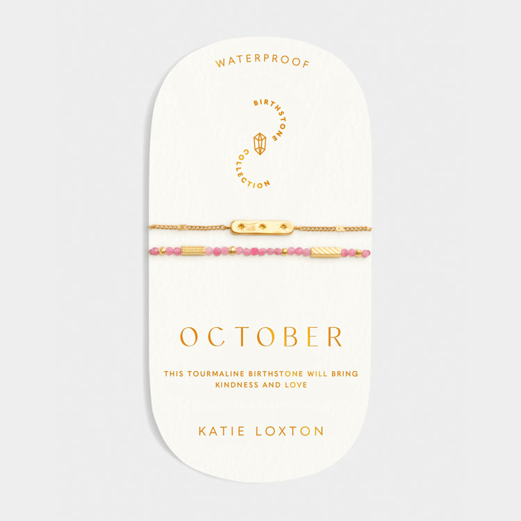 Katie Loxton Birthstone Bracelet set