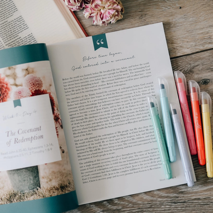 "Faithful" Bible study on Covenants