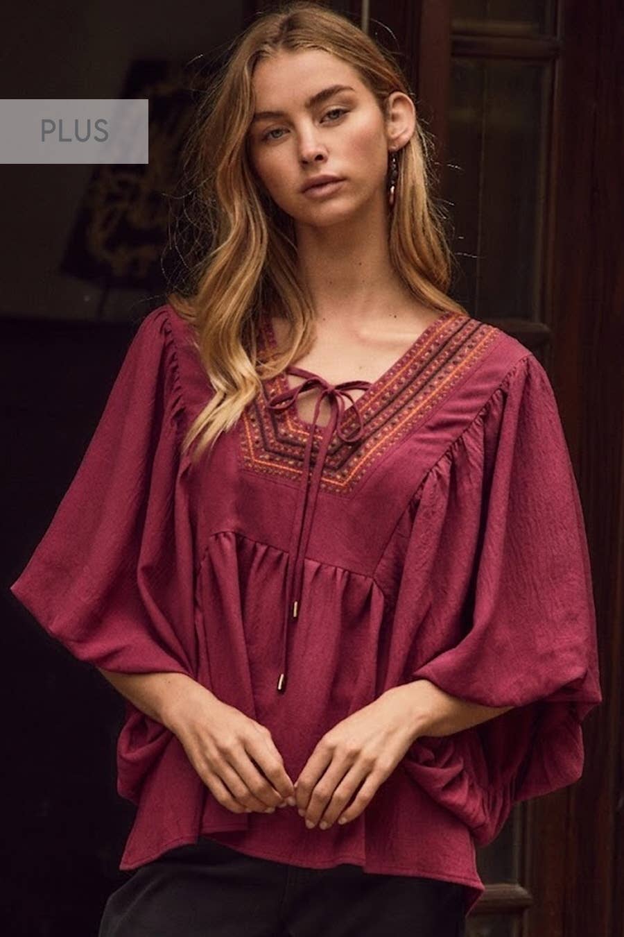 Plus Embroidered Puff Sleeve Blouse