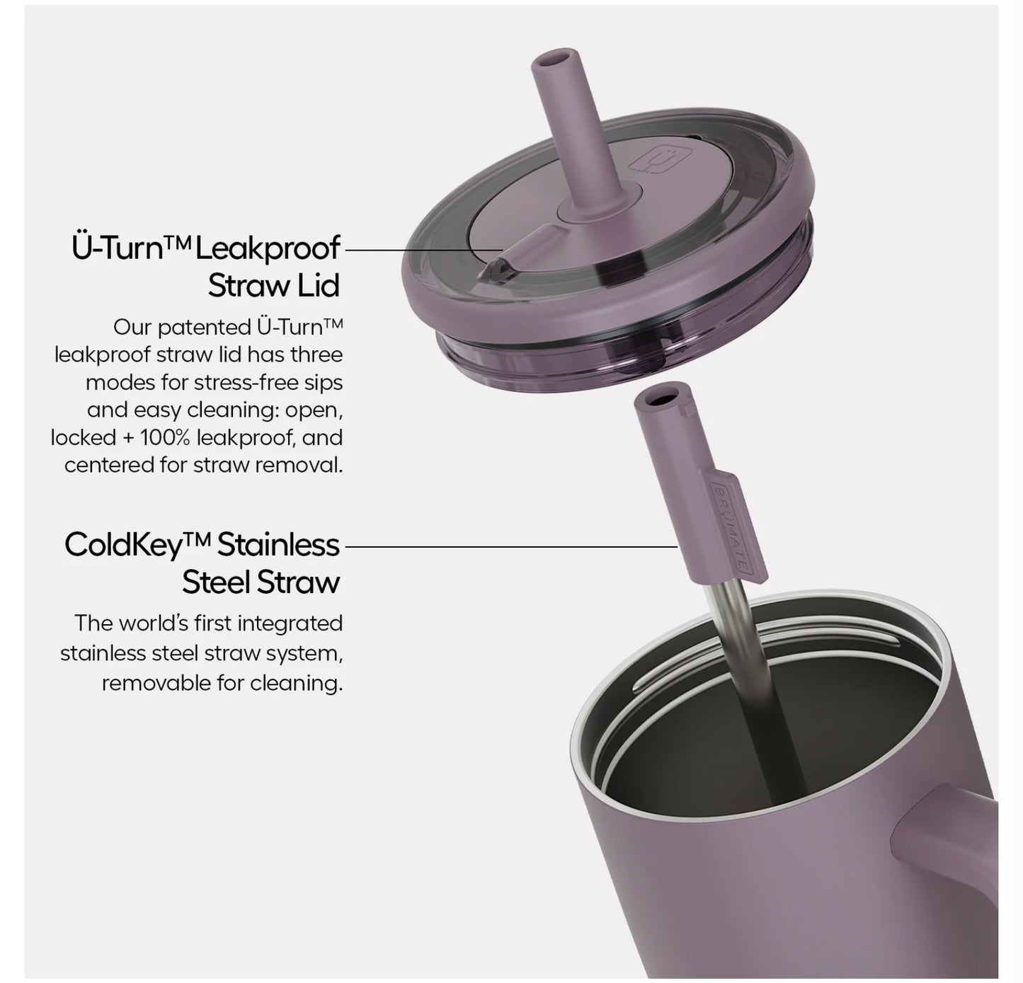 Brumate ERA Tumbler